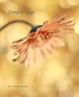 Simple Joys book cover