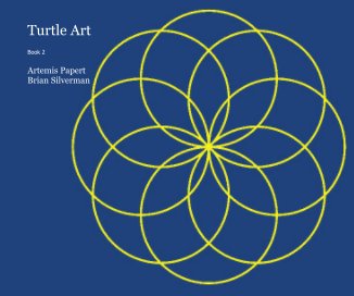 Turtle Art book cover