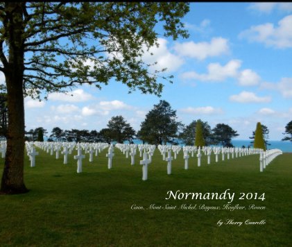 Normandy 2014 Caen, Mont Saint Michel, Bayeux, Honfleur, Rouen book cover