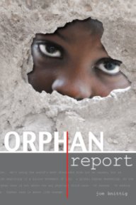 The Orphan Report book cover