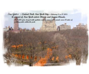 Art in Central Park Version 2 book cover