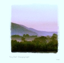 Tor y Foel - Changing Light book cover
