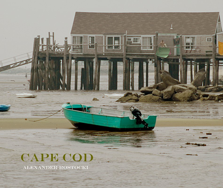 View Cape Cod by Alexander Rostocki