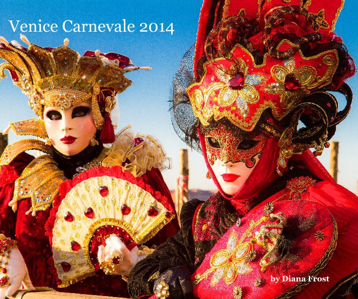 View Venice Carnevale 2014 by Diana Frost