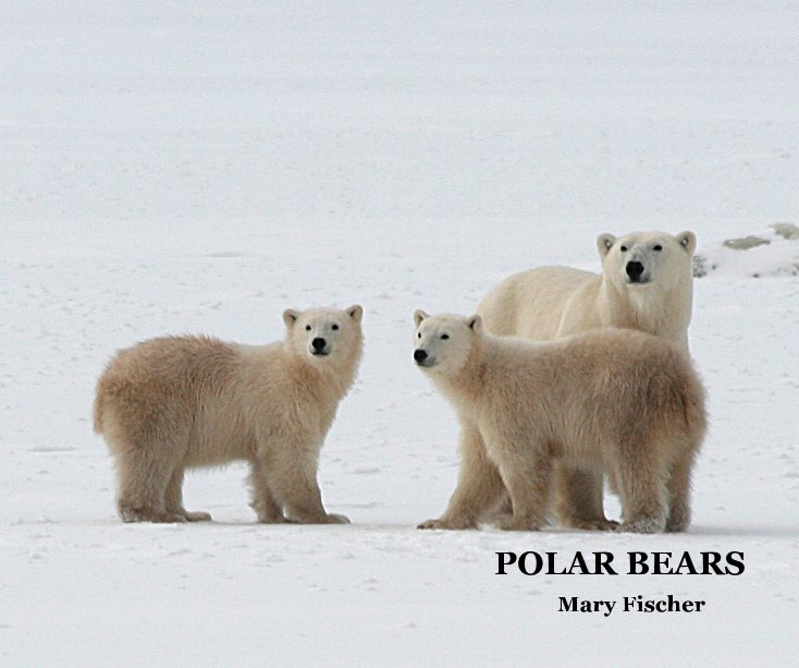 View POLAR BEARS by Mary Fischer