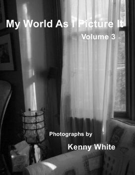 My World As I Picture It. Vol 3 book cover