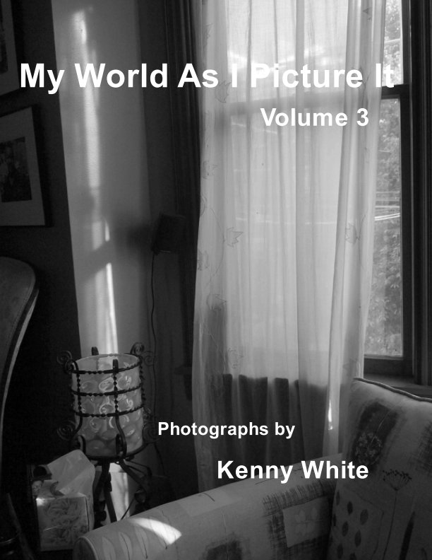 View My World As I Picture It. Vol 3 by Kenny White
