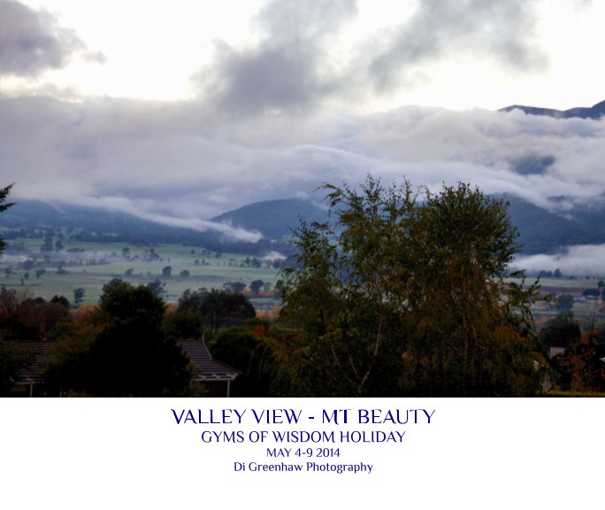 View Valley View Mt Beauty by Di Greenhaw Photography