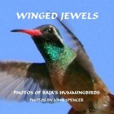 WINGED JEWELS book cover