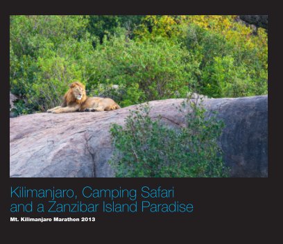 2013 Kilimanjaro Marathon & Tanzanian Adventure book cover