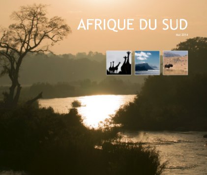 AFRIQUE DU SUD book cover