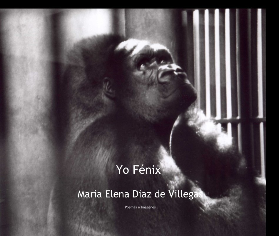 Ver Yo Fénix por Maria Elena Diaz de Villegas