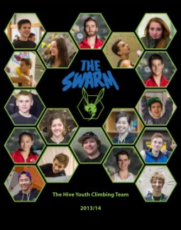 The Swarm 2013/14 book cover