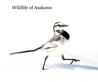 Wildlife of Asakawa book cover
