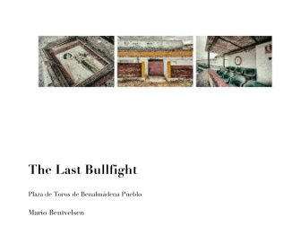 The Last Bullfight book cover