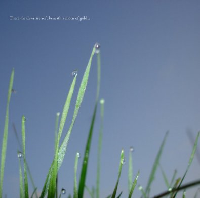 There the dews are soft beneath a morn of gold... book cover