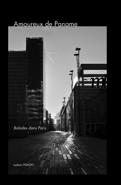 View Amoureux de Paname - In love with Paris by Ludovic PONZIO