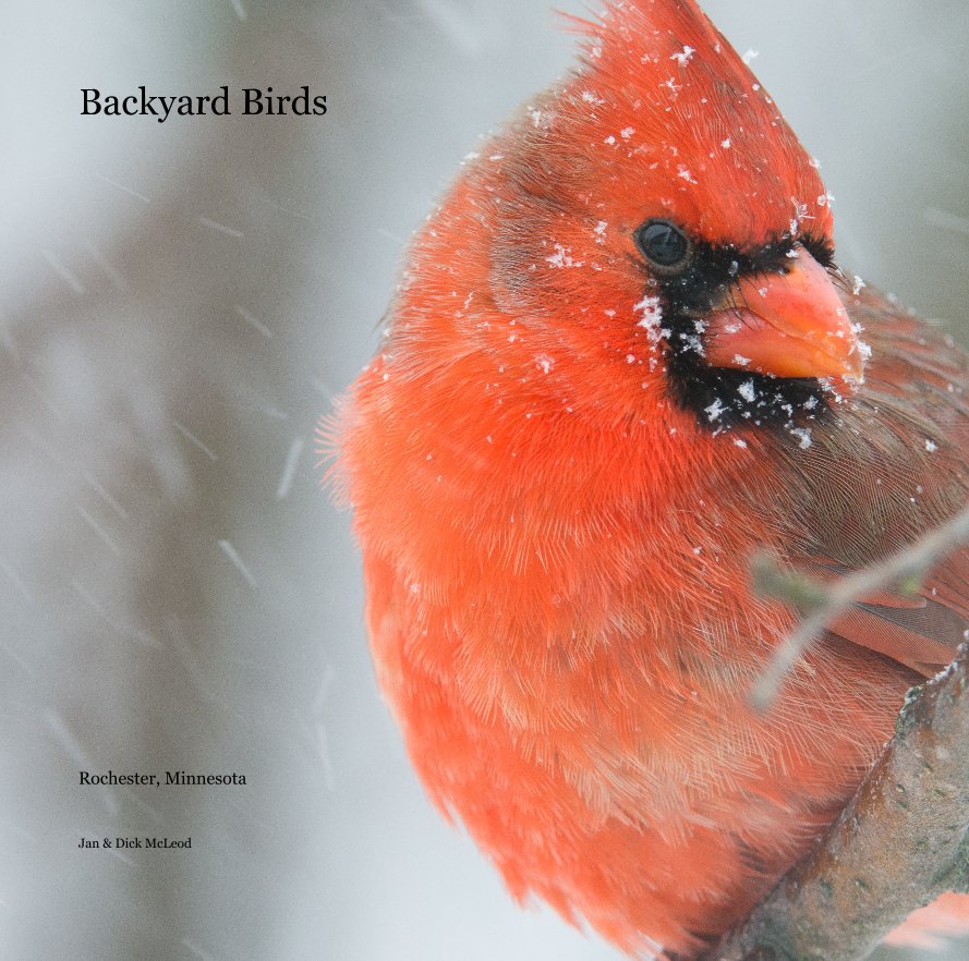 View Backyard Birds by Jan & Dick McLeod