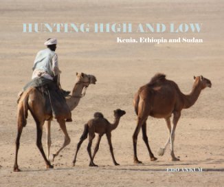 HUNTING HIGH AND LOW book cover