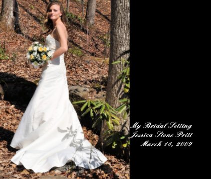 My Bridal Setting Jessica Stone Pritt March 18, 2009 book cover