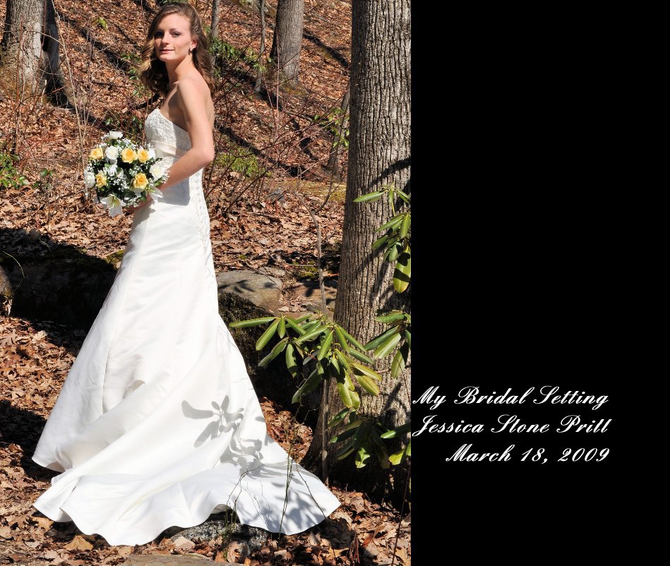 View My Bridal Setting Jessica Stone Pritt March 18, 2009 by Susan Smith