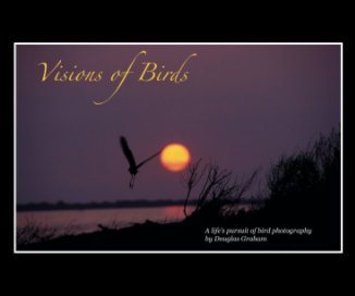Visions of Birds (revised small format) book cover