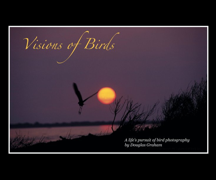 View Visions of Birds (revised small format) by Douglas Graham