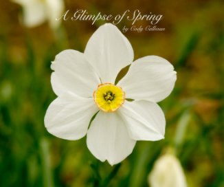 A Glimpse of Spring book cover