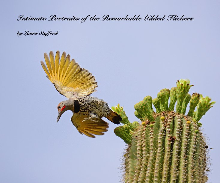 View Intimate Portraits of the Remarkable Gilded Flickers by Laura Stafford