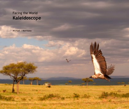 Facing the World Kaleidoscope book cover