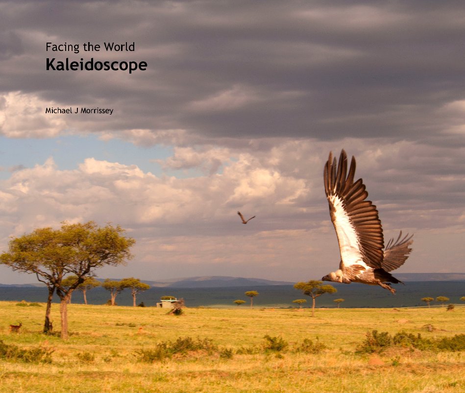 Ver Facing the World Kaleidoscope por Michael J Morrissey