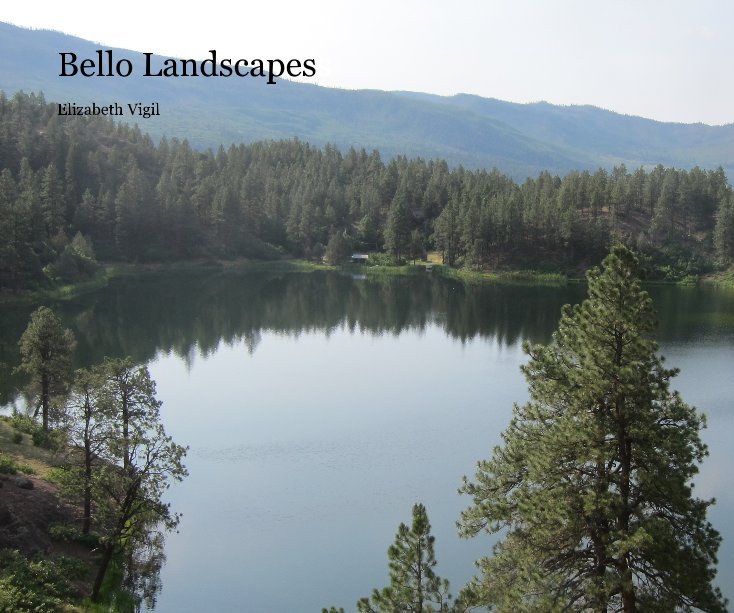 View Bello Landscapess by Elizabeth Vigil