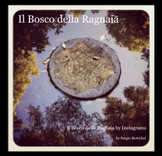 Il Bosco della Ragnaia book cover