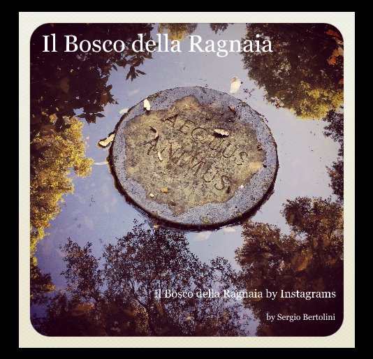 Visualizza Il Bosco della Ragnaia di Sergio Bertolini