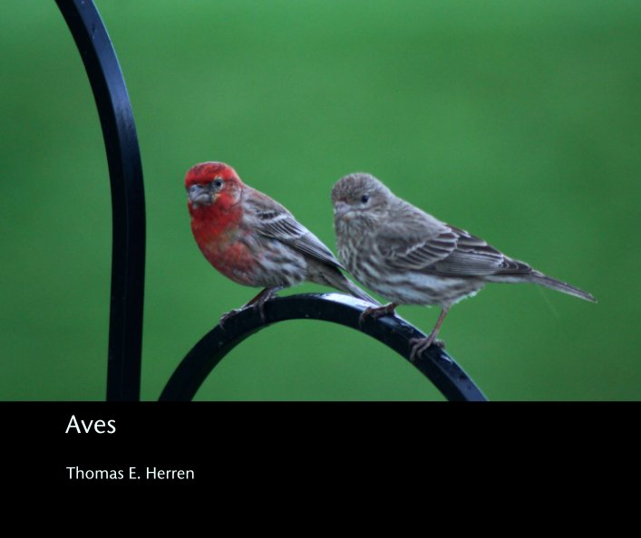 View Aves by Thomas E. Herren