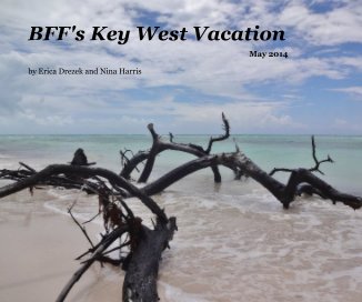 BFF's Key West Vacation book cover