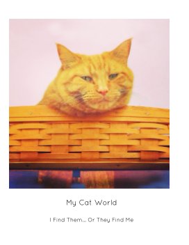 My Cat World book cover