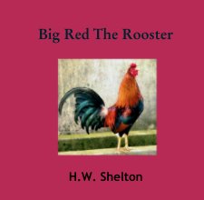 Big Red The Rooster book cover
