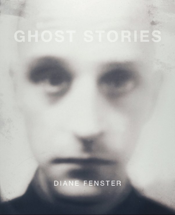 View Ghost Stories by Diane Fenster