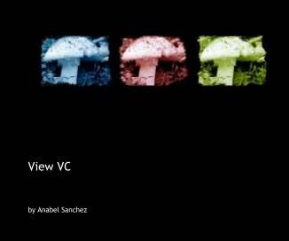 View VC book cover