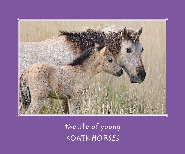 View The life of young Konik horses by Funcards