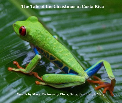 The Tale of the Christmas in Costa Rica book cover