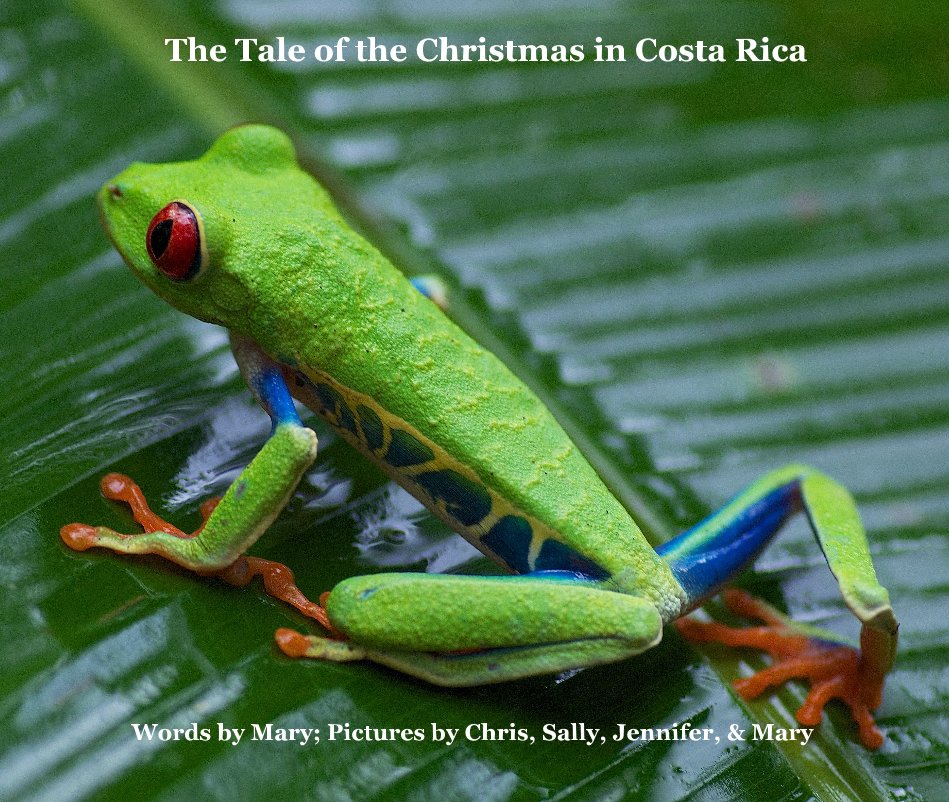 View The Tale of the Christmas in Costa Rica by Words by Mary; Pictures by Chris, Sally, Jennifer, & Mary