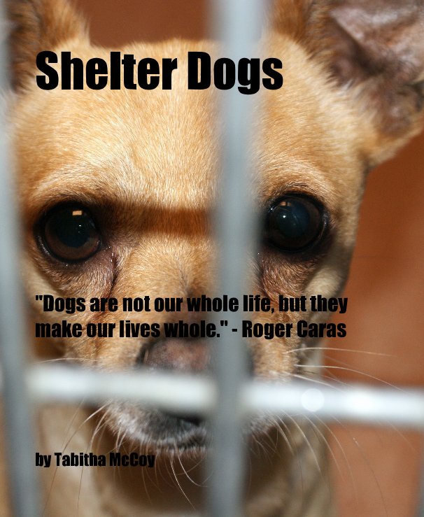 View Shelter Dogs by Tabitha McCoy