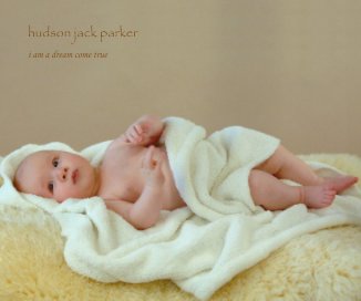 hudson jack parker book cover