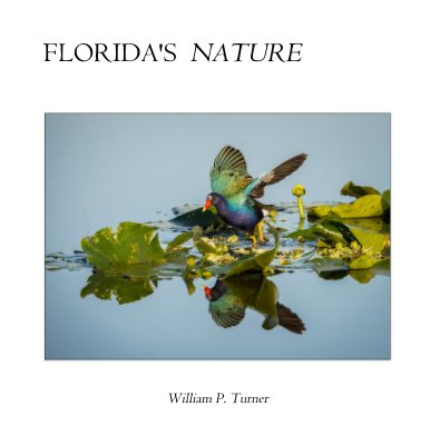 FLORIDA'S NATURE book cover