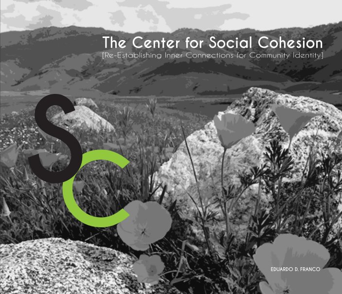 Ver The Center for Social Cohesion por Eduardo Franco