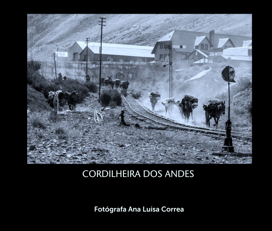 Ver CORDILHEIRA DOS ANDES por Fotógrafa Ana Luisa Correa