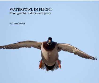 WATERFOWL IN FLIGHT book cover