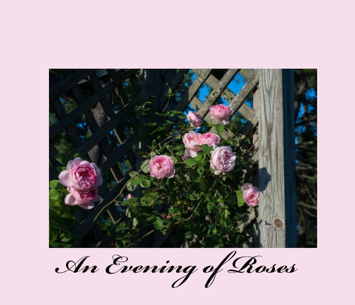 View An Evening of Roses by Daniel D. Weil